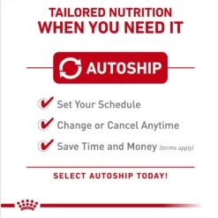 Royal Canin Breed Health Nutrition Pomeranian Adult Loaf In Sauce Canned Dog Food -Snuggle Paws 234005 PT4. AC SS1800 V1696614257