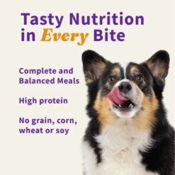 Halo Meal Bites Turducken Recipe Freeze-Dried Raw Dog Food, 14-oz Bag 10 Halo Meal Bites Turducken Recipe Freeze-Dried Raw Dog Food, 14-oz Bag -Snuggle Paws 234818 PT5. AC SS1800 V1657656381