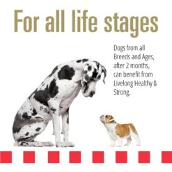 Livelong Healthy & Strong Chicken & Sweet Potato Recipe Wet Dog Food, 12.5-oz Can, Case Of 12 -Snuggle Paws 235062 PT3. AC SS1800 V1589915756