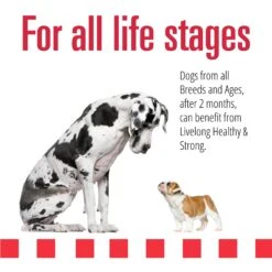 Livelong Healthy & Strong Lamb, Beef & Sweet Potato Recipe Wet Dog Food, 12.5-oz Can, Case Of 12 -Snuggle Paws 235064 PT3. AC SS1800 V1589915475