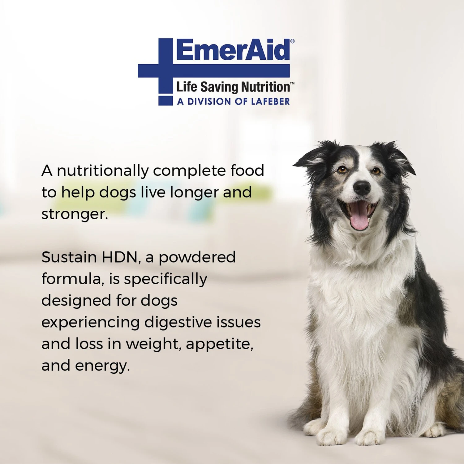 Lafeber EmerAid Sustain HDN Senior Dog Food 5 Lafeber EmerAid Sustain HDN Senior Dog Food - Image 3