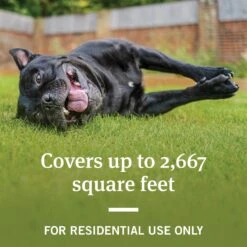 PetArmor Home Yard & Premise Flea & Tick Spray Treatment -Snuggle Paws 237765 PT2. AC SS1800 V1591796763