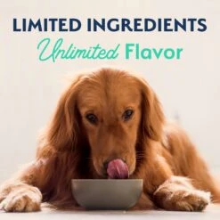 Natural Balance Limited Ingredient Grain-Free Chicken & Sweet Potato Recipe Dry Dog Food -Snuggle Paws 237939 PT8. AC SS1800 V1652156806
