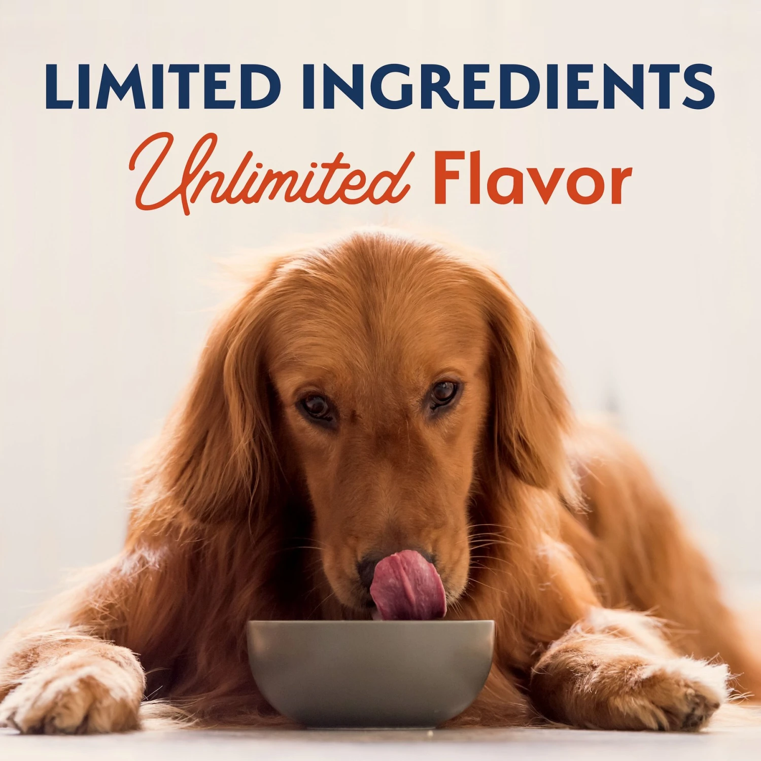 Natural Balance Limited Ingredient Grain-Free Salmon & Sweet Potato Recipe Dry Dog Food 10 Natural Balance Limited Ingredient Grain-Free Salmon & Sweet Potato Recipe Dry Dog Food - Image 8