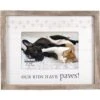 Malden International Designs "Our Kids Have Paws" Picture Frame, 4 X 6-in -Snuggle Paws 243966 MAIN. AC SS1800 V1595709111