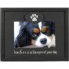Malden International Designs "Love Is In The Eyes Of Your Dog" Picture Frame, 4 X 6-in -Snuggle Paws 243970 MAIN. AC SS1800 V1595710982