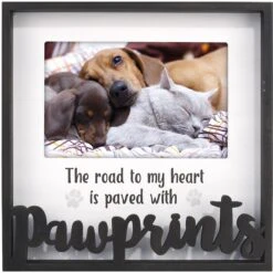 Malden International Designs "Pawprints" Box Picture Frame, 4 X 6-in