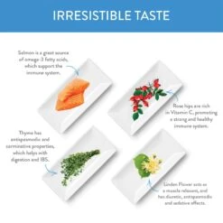 Forza10 Nutraceutic Legend Puppy Icelandic Salmon & Lamb Recipe Grain-Free Canned Dog Food -Snuggle Paws 245092 PT4. AC SS1800 V1597880513