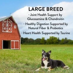 True Acre Foods Large Breed Chicken & Vegetables Recipes Grain-Free Dry Dog Food 11 True Acre Foods Large Breed Chicken & Vegetables Recipes Grain-Free Dry Dog Food -Snuggle Paws 247981 PT3. AC SS1800 V1611952123