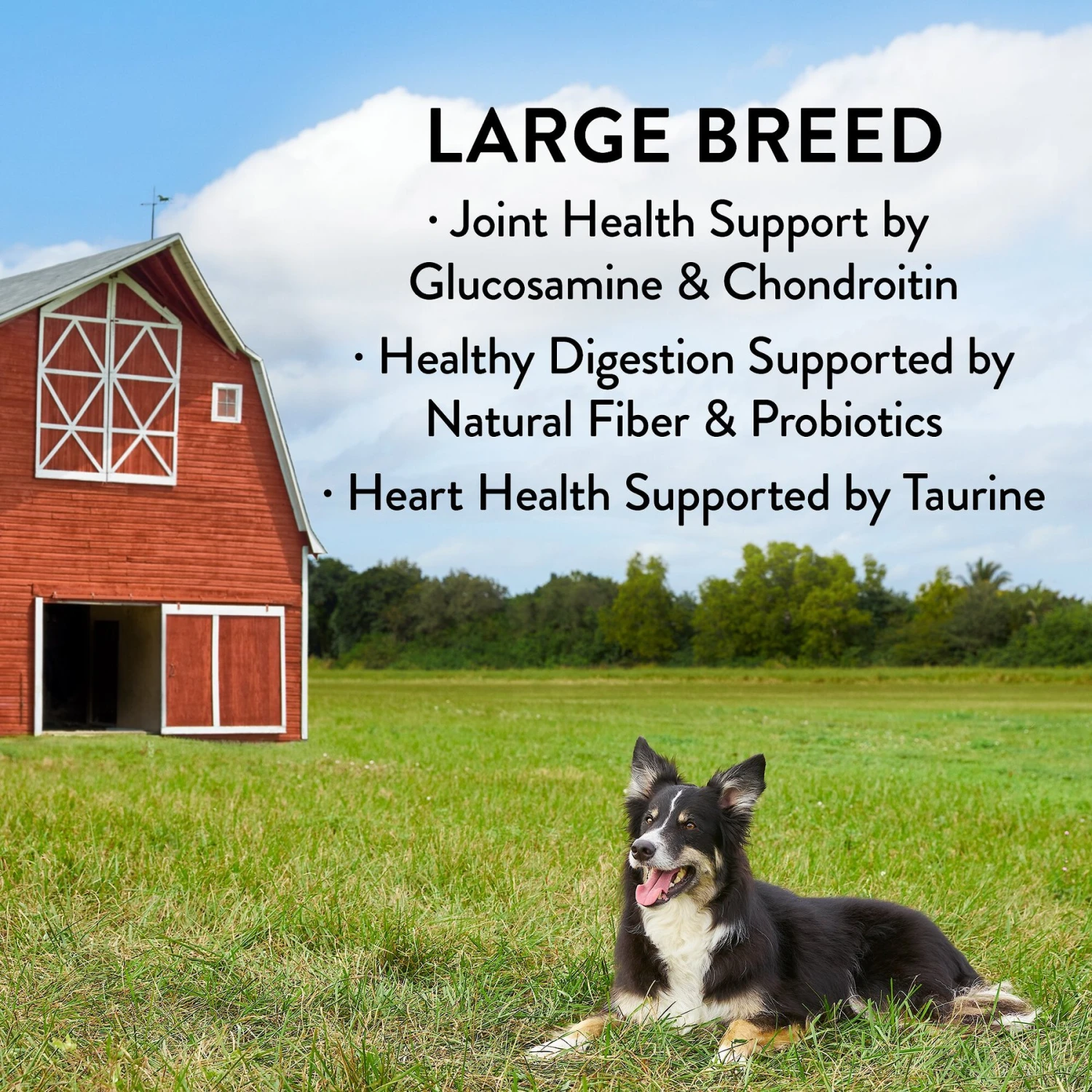 True Acre Foods Large Breed Chicken & Vegetables Recipes Grain-Free Dry Dog Food 5 True Acre Foods Large Breed Chicken & Vegetables Recipes Grain-Free Dry Dog Food - Image 3