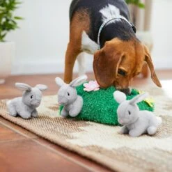 Frisco Spring Bunny Burrow Hide & Seek Plush Squeaky Dog Toy 12 Frisco Spring Bunny Burrow Hide & Seek Plush Squeaky Dog Toy -Snuggle Paws 248039 PT5. AC SS1800 V1608767863
