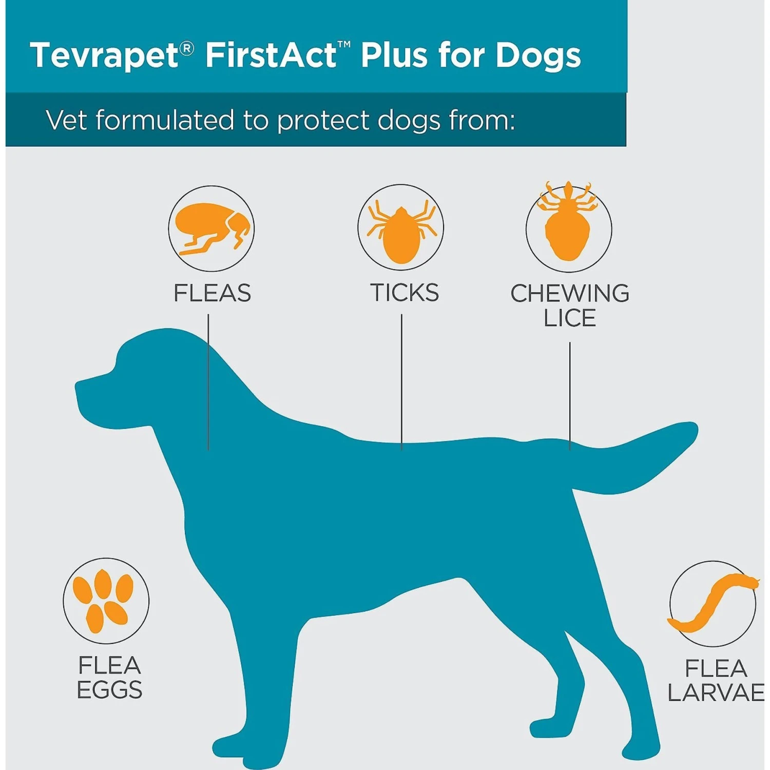 TevraPet FirstAct Plus Flea & Tick Spot Treatment For Dogs, 23 - 44lbs 5 TevraPet FirstAct Plus Flea & Tick Spot Treatment For Dogs, 23 - 44lbs - Image 3
