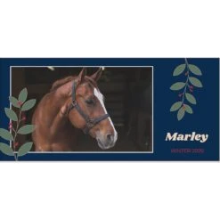 Frisco Berry Garland Personalized Coffee Mug, 11-oz 8 Frisco Berry Garland Personalized Coffee Mug, 11-oz -Snuggle Paws 249333 PT2. AC SS1800 V1602863774