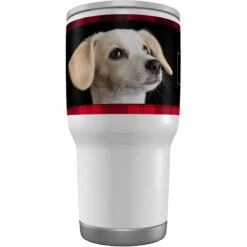 Frisco Double Walled Red Plaid Personalized Tumbler, 30-oz Cup 12 Frisco Double Walled Red Plaid Personalized Tumbler, 30-oz Cup -Snuggle Paws 249346 PT3. AC SS1800 V1602042957