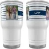 Frisco Double Walled Preppy Stripes Personalized Tumbler, 30-oz Cup 2 Frisco Double Walled Preppy Stripes Personalized Tumbler, 30-oz Cup -Snuggle Paws 250751 MAIN. AC SS1800 V1606680435
