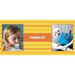 Frisco Double Walled Preppy Stripes Personalized Tumbler, 30-oz Cup -Snuggle Paws 250751 PT2. AC SS1800 V1606678620