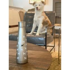 S'ip By S'well French Standard Stainless Steel Water Bottle, 15-oz -Snuggle Paws 251277 PT4. AC SS1800 V1603322545