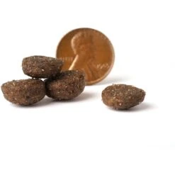 VICTOR Realtree EDGE ENERGY Dry Dog Food -Snuggle Paws 252846 PT3. AC SS1800 V1677685937