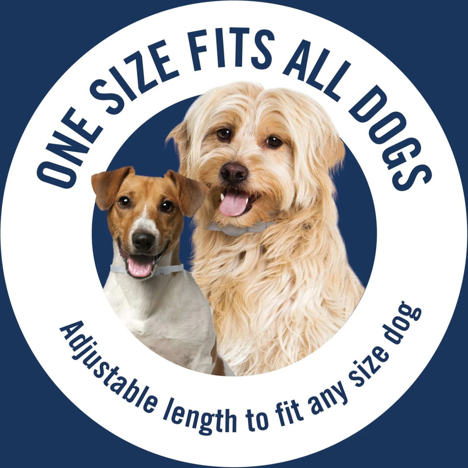 PetArmor Plus Flea & Tick Collar For Dogs 8 PetArmor Plus Flea & Tick Collar For Dogs - Image 6