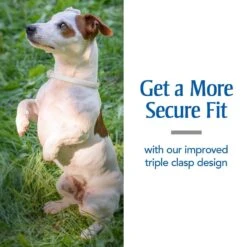 PetArmor Plus Flea & Tick Collar For Dogs 18 PetArmor Plus Flea & Tick Collar For Dogs -Snuggle Paws 254560 PT7. AC SS1800 V1601336460