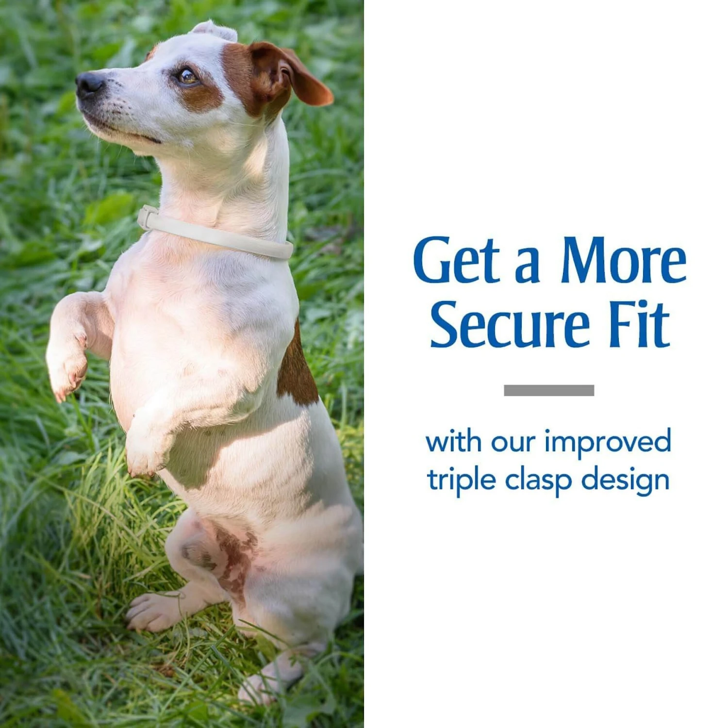 PetArmor Plus Flea & Tick Collar For Dogs 10 PetArmor Plus Flea & Tick Collar For Dogs - Image 8