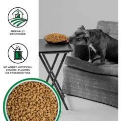 BIXBI Liberty Original Recipe Fresh Turkey, Chicken & Fish Grain-Free Dry Dog Food -Snuggle Paws 254784 PT2. AC SS1800 V1668203458