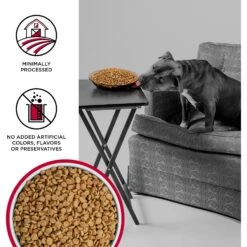 BIXBI Liberty Beef Recipe Grain-Free Dry Dog Food -Snuggle Paws 254787 PT2. AC SS1800 V1668200006