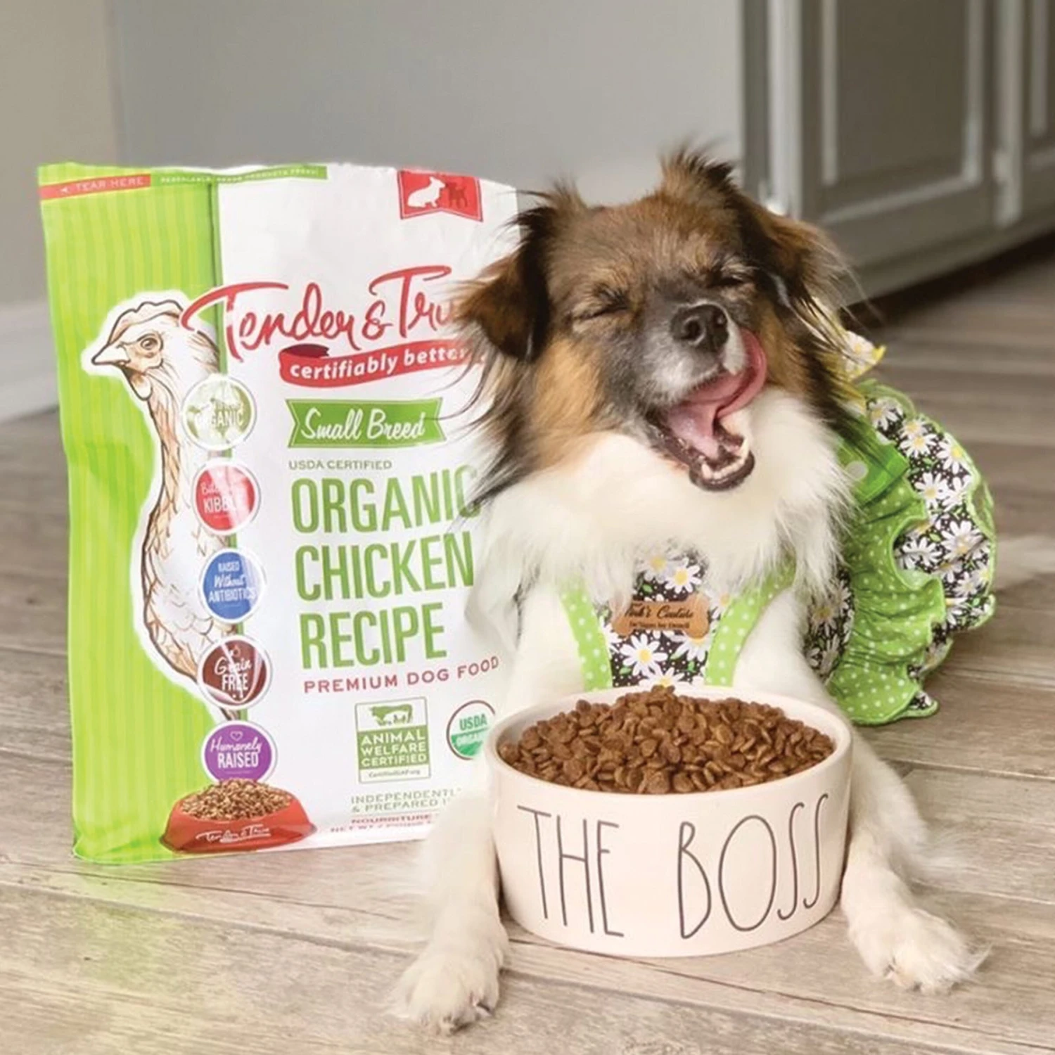 Tender & True Organic Chicken Recipe Small Breed Grain-Free Dry Dog Food, 4-lb Bag 7 Tender & True Organic Chicken Recipe Small Breed Grain-Free Dry Dog Food, 4-lb Bag - Image 5