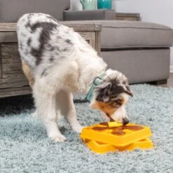 OurPets Waffle Squeaky Treat Dispensing Puzzle Dog & Cat Toy 12 OurPets Waffle Squeaky Treat Dispensing Puzzle Dog & Cat Toy -Snuggle Paws 258949 PT1. AC SS1800 V1605883341