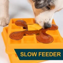 OurPets Waffle Squeaky Treat Dispensing Puzzle Dog & Cat Toy 15 OurPets Waffle Squeaky Treat Dispensing Puzzle Dog & Cat Toy -Snuggle Paws 258949 PT4. AC SS1800 V1605915728