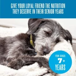 Tiki Dog Aloha Petites Senior Mousse Chicken, Beef & Pumpkin In Broth Grain-Free Wet Dog Food -Snuggle Paws 259160 PT7. AC SS1800 V1631197321
