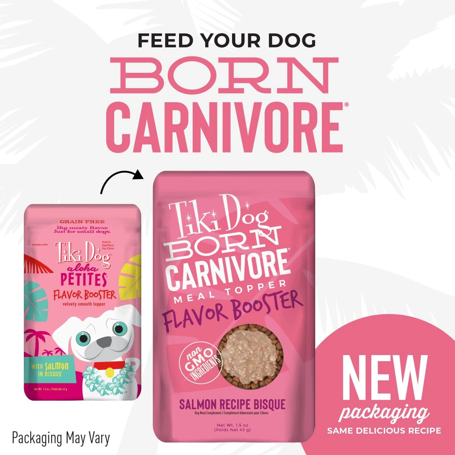 Tiki Dog Born Carnivore Flavor Booster Salmon Bisque Non-GMO Wet Dog Food Topper 4 Tiki Dog Born Carnivore Flavor Booster Salmon Bisque Non-GMO Wet Dog Food Topper - Image 2