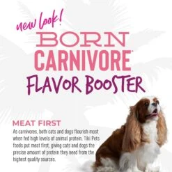Tiki Dog Born Carnivore Flavor Booster Salmon Bisque Non-GMO Wet Dog Food Topper 17 Tiki Dog Born Carnivore Flavor Booster Salmon Bisque Non-GMO Wet Dog Food Topper -Snuggle Paws 259164 PT6. AC SS1800 V1701796138