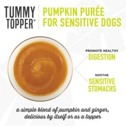 Tiki Dog Tummy Topper Pumpkin & Ginger Puree Grain-Free Wet Dog Food Topper -Snuggle Paws 259168 PT3. AC SS1800 V1631199112