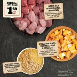 ACANA Wholesome Grains Red Meat Recipe Dry Dog Food -Snuggle Paws 259580 PT3. AC SS1800 V1696260851