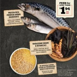 ACANA Sea To Stream Recipe + Wholesome Grains Dry Dog Food 12 ACANA Sea To Stream Recipe + Wholesome Grains Dry Dog Food -Snuggle Paws 259583 PT3. AC SS1800 V1696263931