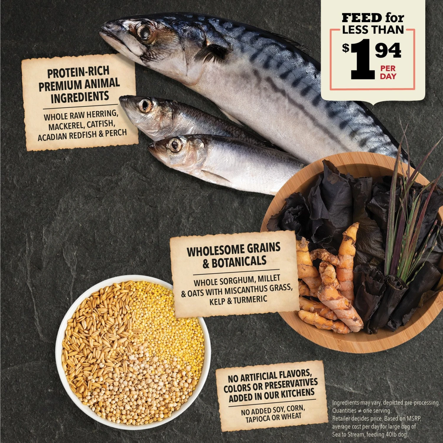 ACANA Sea To Stream Recipe + Wholesome Grains Dry Dog Food 5 ACANA Sea To Stream Recipe + Wholesome Grains Dry Dog Food - Image 3