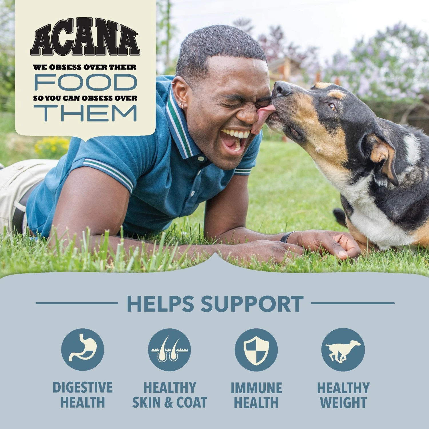 ACANA Sea To Stream Recipe + Wholesome Grains Dry Dog Food 6 ACANA Sea To Stream Recipe + Wholesome Grains Dry Dog Food - Image 4