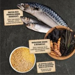 ACANA Sea To Stream Recipe + Wholesome Grains Dry Dog Food 16 ACANA Sea To Stream Recipe + Wholesome Grains Dry Dog Food -Snuggle Paws 259583 PT7. AC SS1800 V1696266561