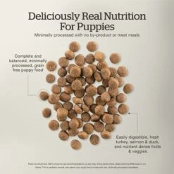 Now Fresh Grain-Free Puppy Recipe Dry Dog Food -Snuggle Paws 261221 PT4. AC SS1800 V1637791423