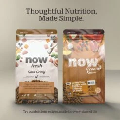 Now Fresh Grain-Free Puppy Recipe Dry Dog Food -Snuggle Paws 261221 PT5. AC SS1800 V1637794116