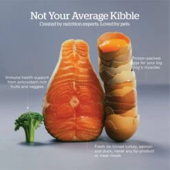 Now Fresh Grain-Free Large Breed Senior Recipe Dry Dog Food -Snuggle Paws 261232 PT3. AC SS1800 V1637792298