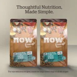 Now Fresh Grain-Free Large Breed Senior Recipe Dry Dog Food -Snuggle Paws 261232 PT5. AC SS1800 V1637794408