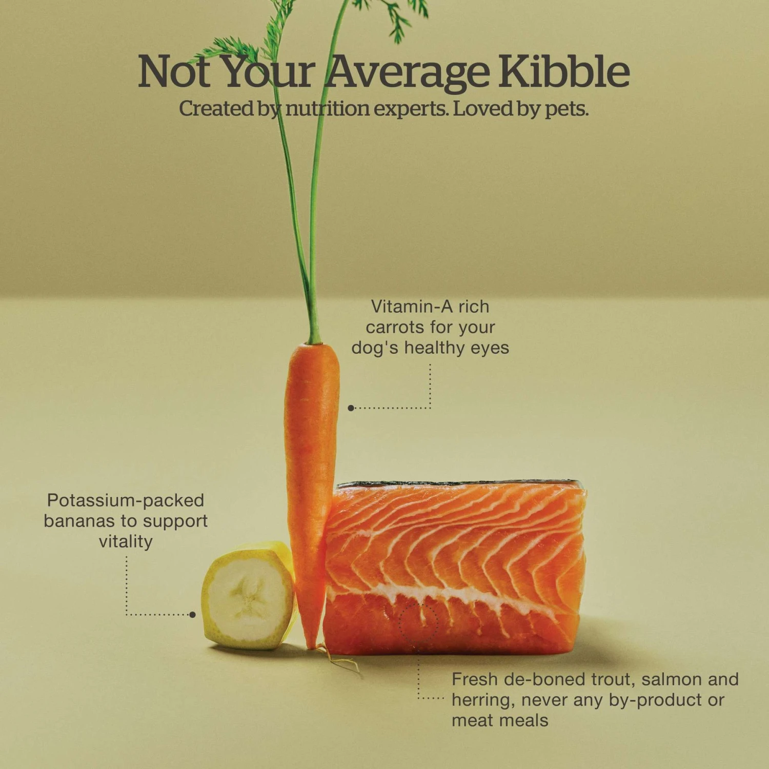 Now Fresh Grain-Free Adult Fish Recipe Dry Dog Food 6 Now Fresh Grain-Free Adult Fish Recipe Dry Dog Food - Image 4