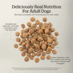 Now Fresh Grain-Free Adult Fish Recipe Dry Dog Food 15 Now Fresh Grain-Free Adult Fish Recipe Dry Dog Food -Snuggle Paws 261250 PT4. AC SS1800 V1637790492