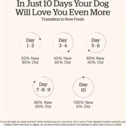 Now Fresh Grain-Free Adult Fish Recipe Dry Dog Food 17 Now Fresh Grain-Free Adult Fish Recipe Dry Dog Food -Snuggle Paws 261250 PT6. AC SS1800 V1637793395