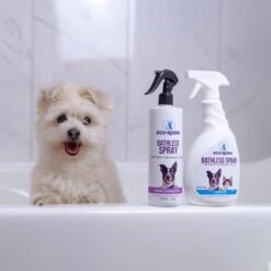 EcoSpaw Lavender Scent Bathless Dog Spray 11 EcoSpaw Lavender Scent Bathless Dog Spray -Snuggle Paws 261728 PT4. AC SS1800 V1639092839