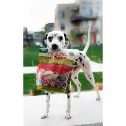 Tender & True Farmers Market Recipe Freeze-Dried Raw Dog Food, 1-lb Bag -Snuggle Paws 262705 PT6. AC SS1800 V1606264018