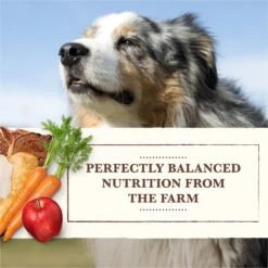 Whole Earth Farms Chicken & Turkey & Red Meat Recipes Grain-Free Variety Pack Wet Dog Food, 12.7-oz Can, Case Of 12 -Snuggle Paws 263149 PT3. AC SS1800 V1683813125