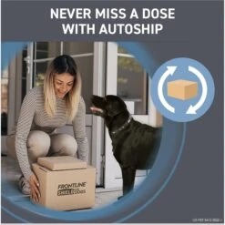 Frontline Shield Flea & Tick Treatment For Large Dogs, 41 - 80 Lbs -Snuggle Paws 263177 PT8. AC SS1800 V1696451583
